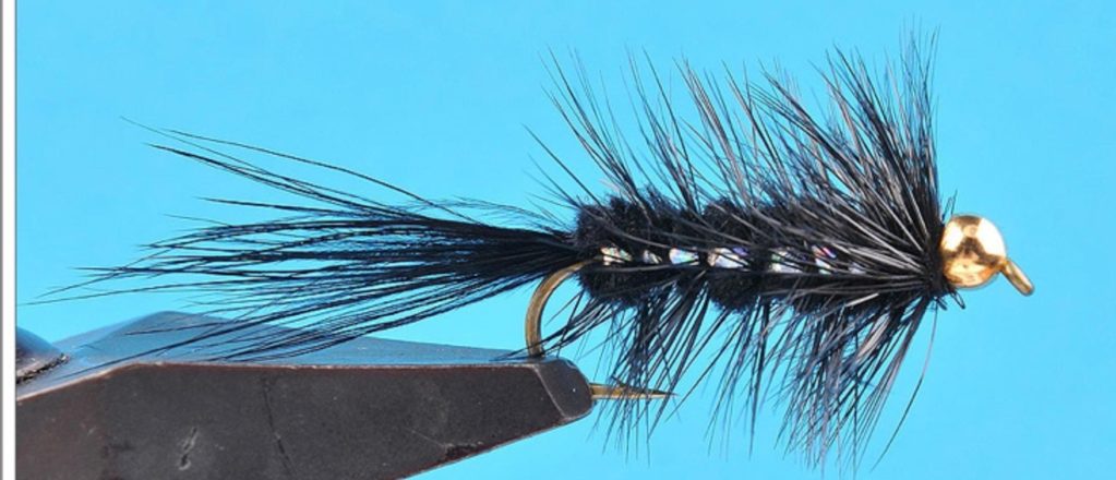 Wooly Bugger, Flashy