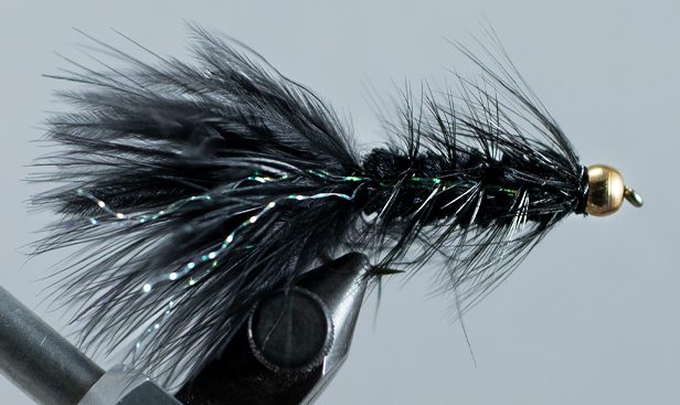 Wooly Bugger, Flashy Tail