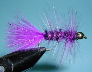 Wooly Bugger